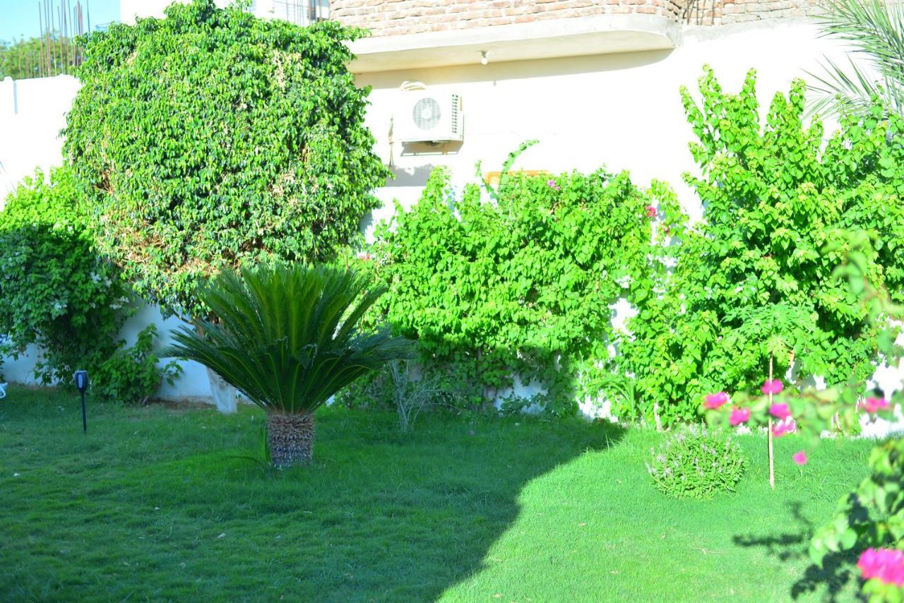 Luxor Rose Villa Extérieur photo